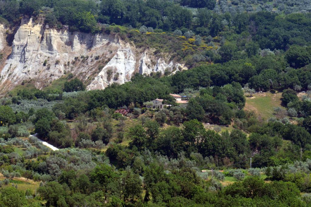 Luxury Villa Colle Dell'Asinello ,Proprietari ,Villa In Esclusiva Near Orvieto Guardea Zewnętrze zdjęcie